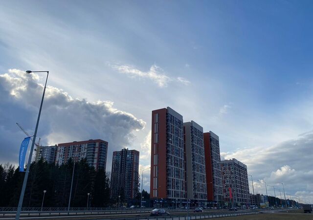 пр-кт Ленина 219 фото