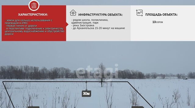 д Рикасово фото
