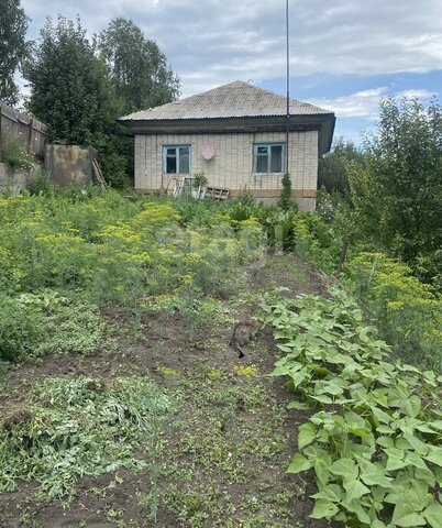 ул Шукшина фото