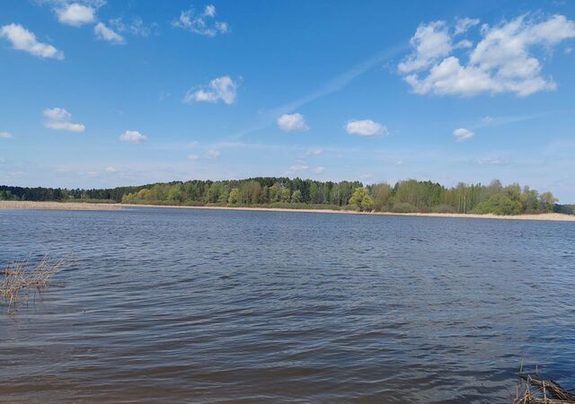 41 км, КП Остров Истра, Истра, Пятницкое шоссе фото