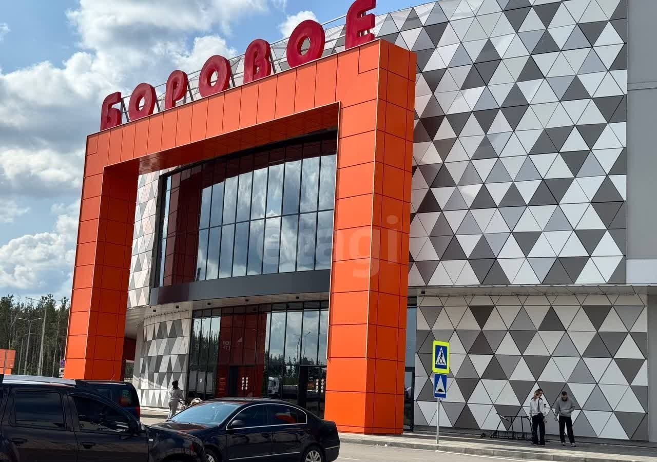квартира г Воронеж р-н Железнодорожный ул Федора Тютчева 105 Боровое фото 2