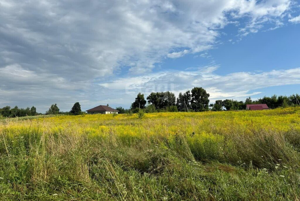 земля г Барнаул п Пригородный фото 4