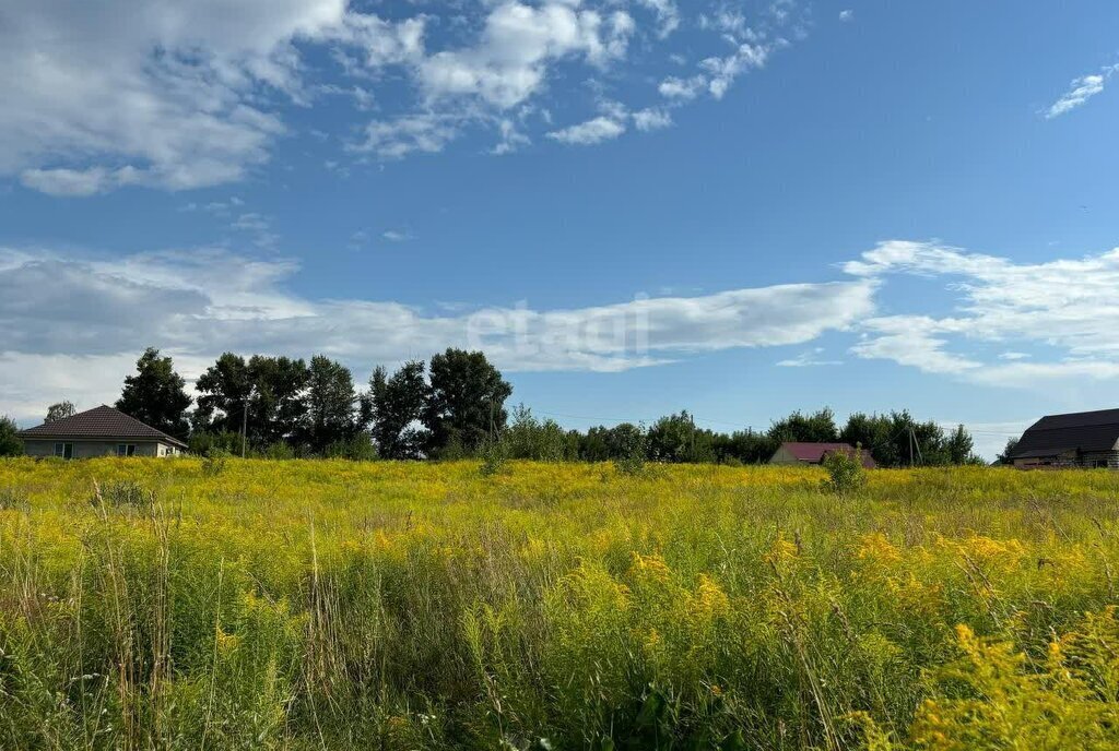 земля г Барнаул п Пригородный фото 3