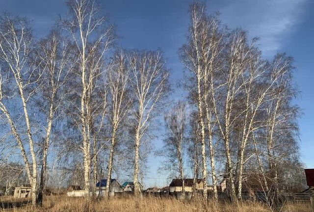 ул Солнечная Верх-Тулинский сельсовет, Верх-Тула фото