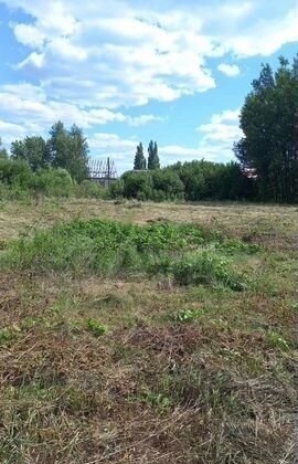 снт Лесная поляна Котовск фото