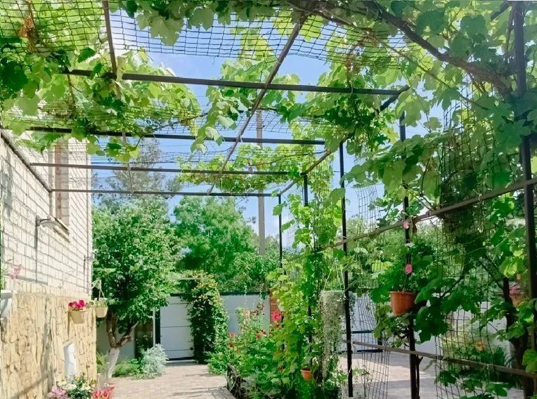 комната г Геленджик Тонкий мыс ул Михайловская 5 фото 17