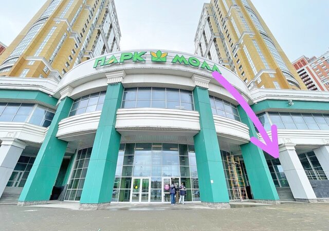 метро Проспект Просвещения пр-кт Просвещения 43 фото