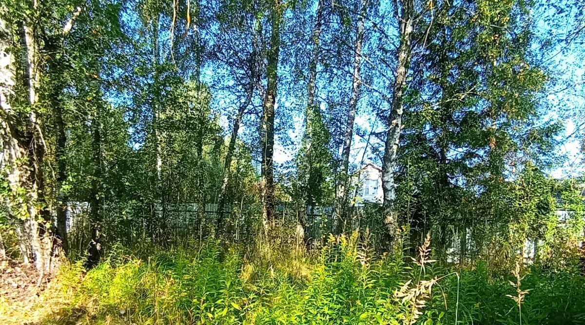 дом г Щёлково снт Лайнер 9, Наро-Фоминский городской округ фото 5