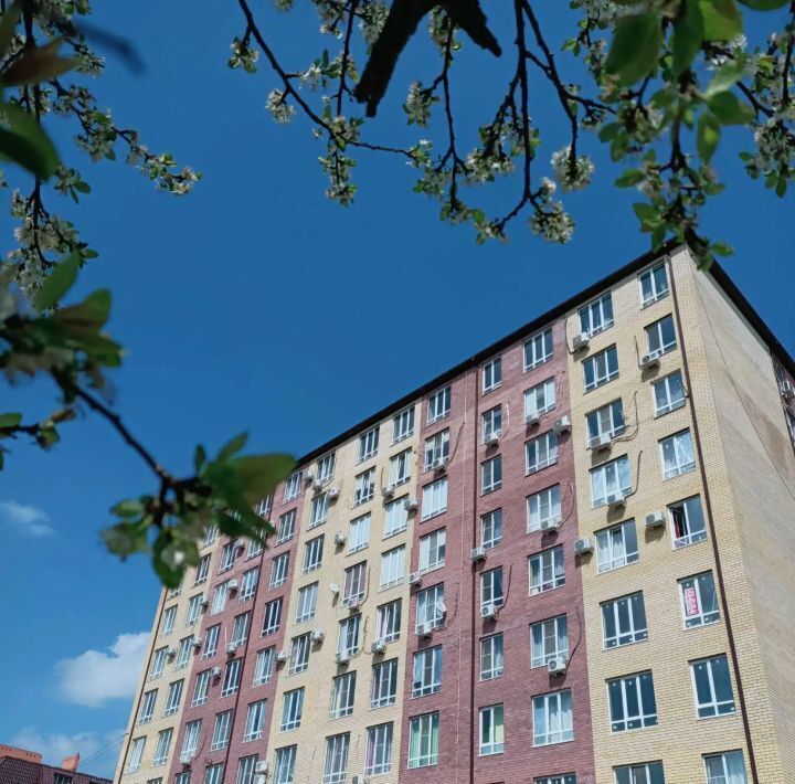 квартира г Краснодар р-н Прикубанский ул Митинская 21 фото 13
