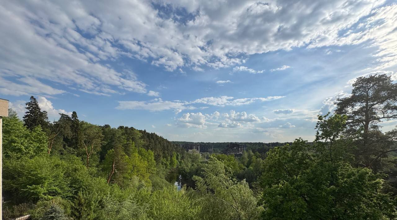 квартира г Химки мкр Новогорск ЖК Зелёные Холмы 9 Беломорская фото 14