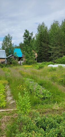 земля территория Дырносский фото