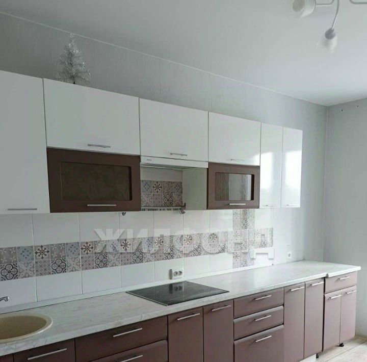 квартира г Новосибирск ул Виктора Шевелева 38/1 Площадь Маркса фото 2