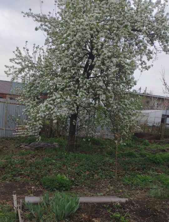 дом г Магнитогорск р-н Орджоникидзевский ул Лепсе 31 фото 11