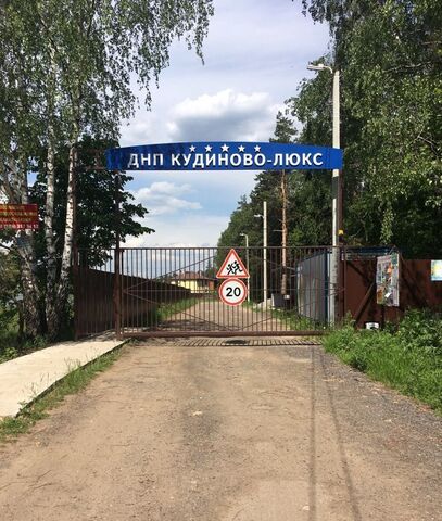 днп Кудиново-люкс 24 км, Старая Купавна, Носовихинское шоссе фото