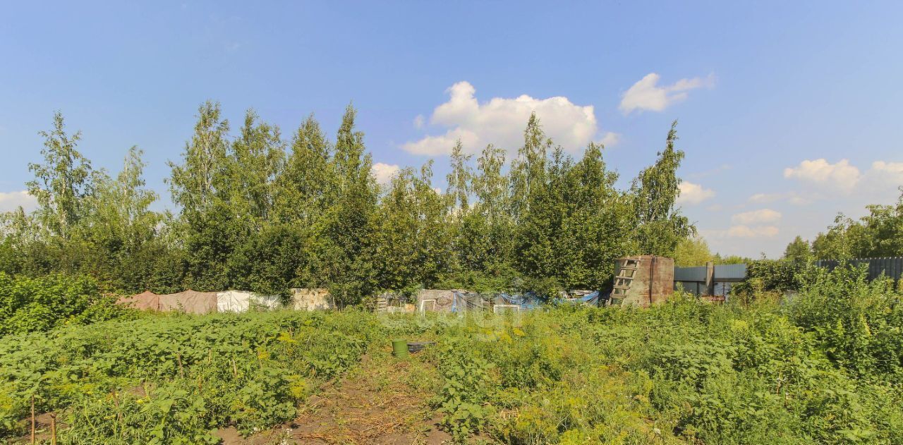 земля г Омск р-н Кировский СОСН Аэрофлот тер., аллея 18-я, 21 фото 5