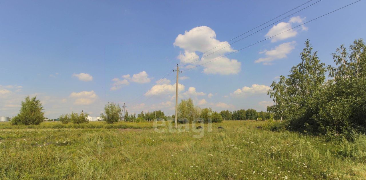 земля г Омск р-н Кировский СОСН Аэрофлот тер., аллея 18-я, 21 фото 17