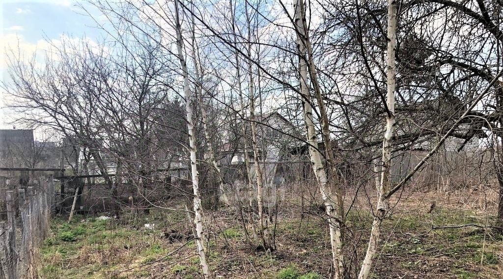 земля г Брянск п Большое Полпино р-н Володарский Буревестник-2 СНТ фото 13