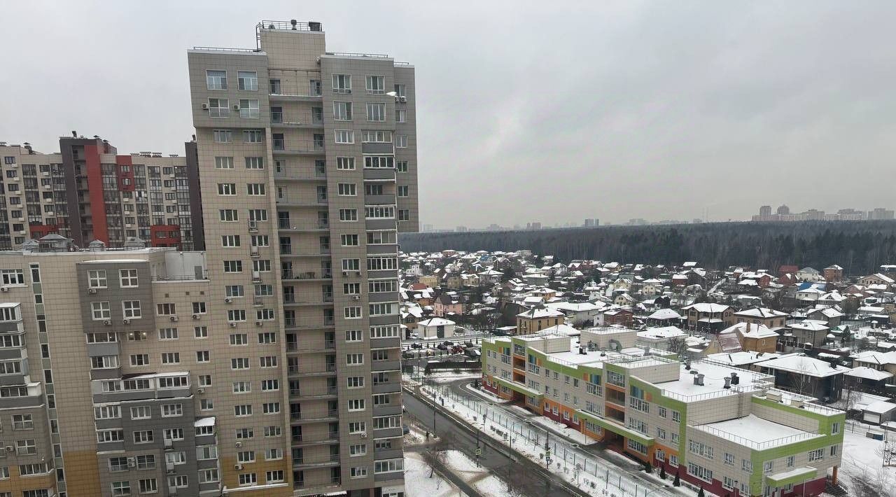квартира г Балашиха ул Ситникова 8 Новогиреево фото 11