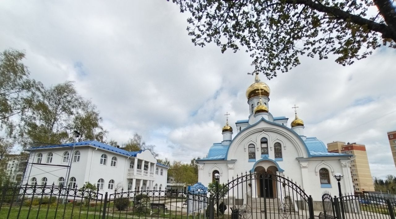 земля г Щёлково Литвиновские резиденции кп фото 10