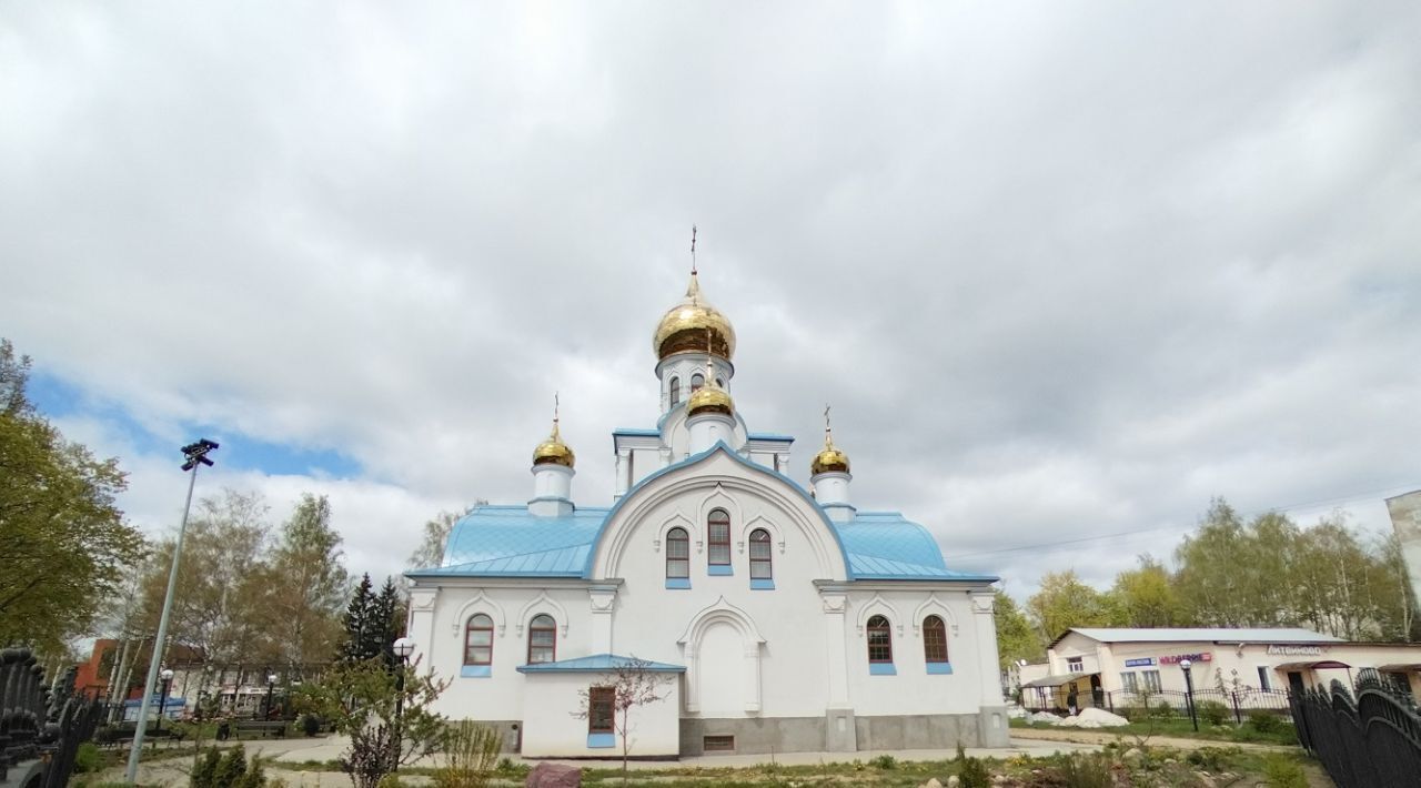 земля г Щёлково Литвиновские резиденции кп фото 11