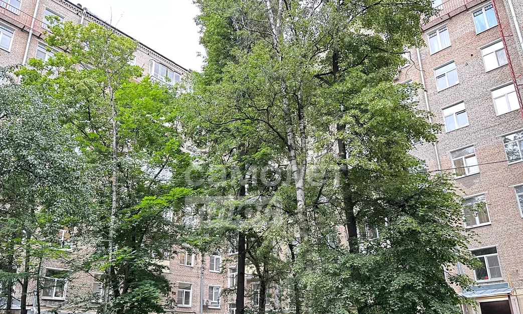 квартира г Москва метро Щелковская ул 7-я Парковая б-р Сиреневый 24 муниципальный округ Измайлово фото 44