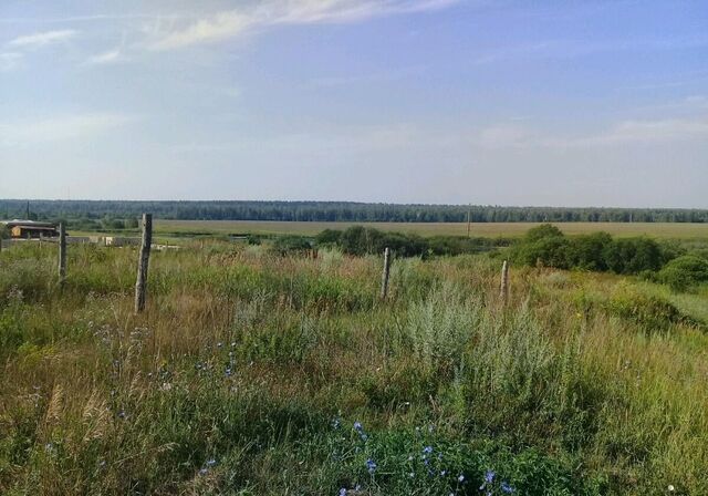 Димитровград фото