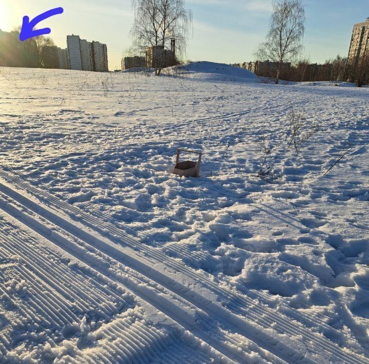 квартира г Москва метро Крылатское ул Крылатские Холмы 30к/3 муниципальный округ Крылатское фото 19