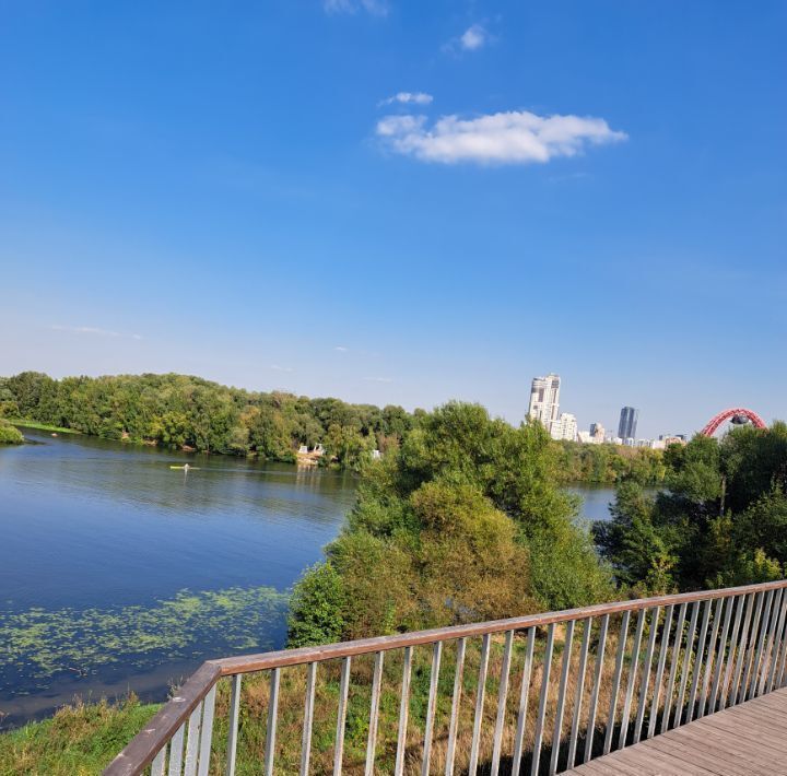 квартира г Москва метро Крылатское ул Крылатские Холмы 30к/3 муниципальный округ Крылатское фото 22