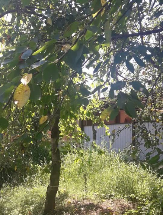 дом г Горячий Ключ фото 10