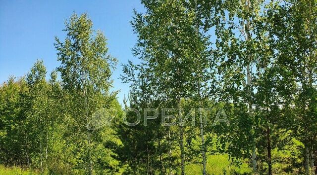 р-н Центральный ул Угорская фото