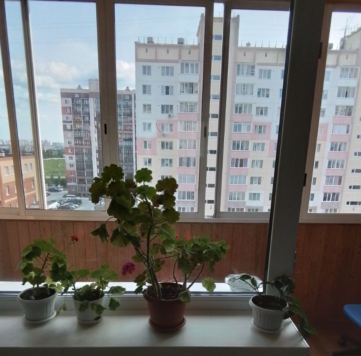 квартира г Новосибирск Заельцовская ул Мясниковой 24/2 фото 5