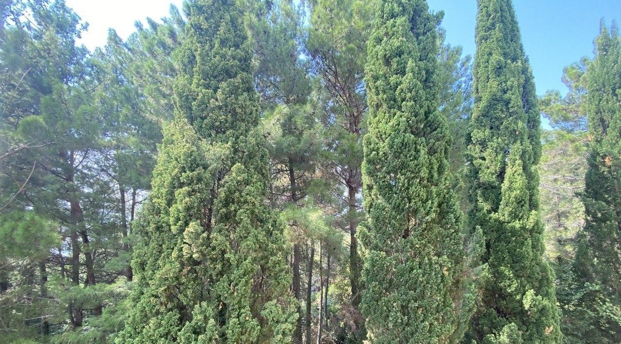 комната г Сочи р-н Лазаревский ул Лучезарная 18ак/17 Лазаревский район фото 2