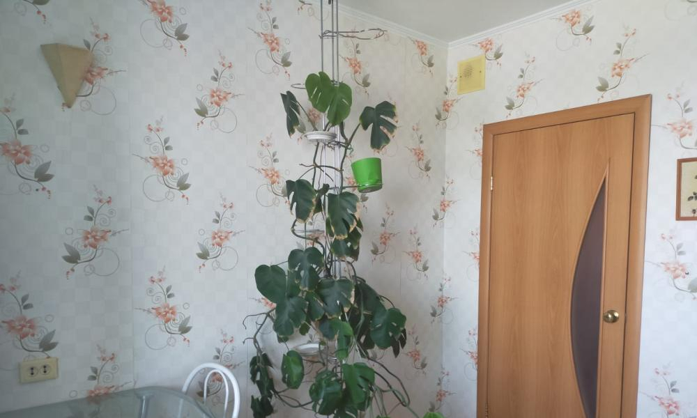 квартира г Омск ул Кирова 12 фото 4