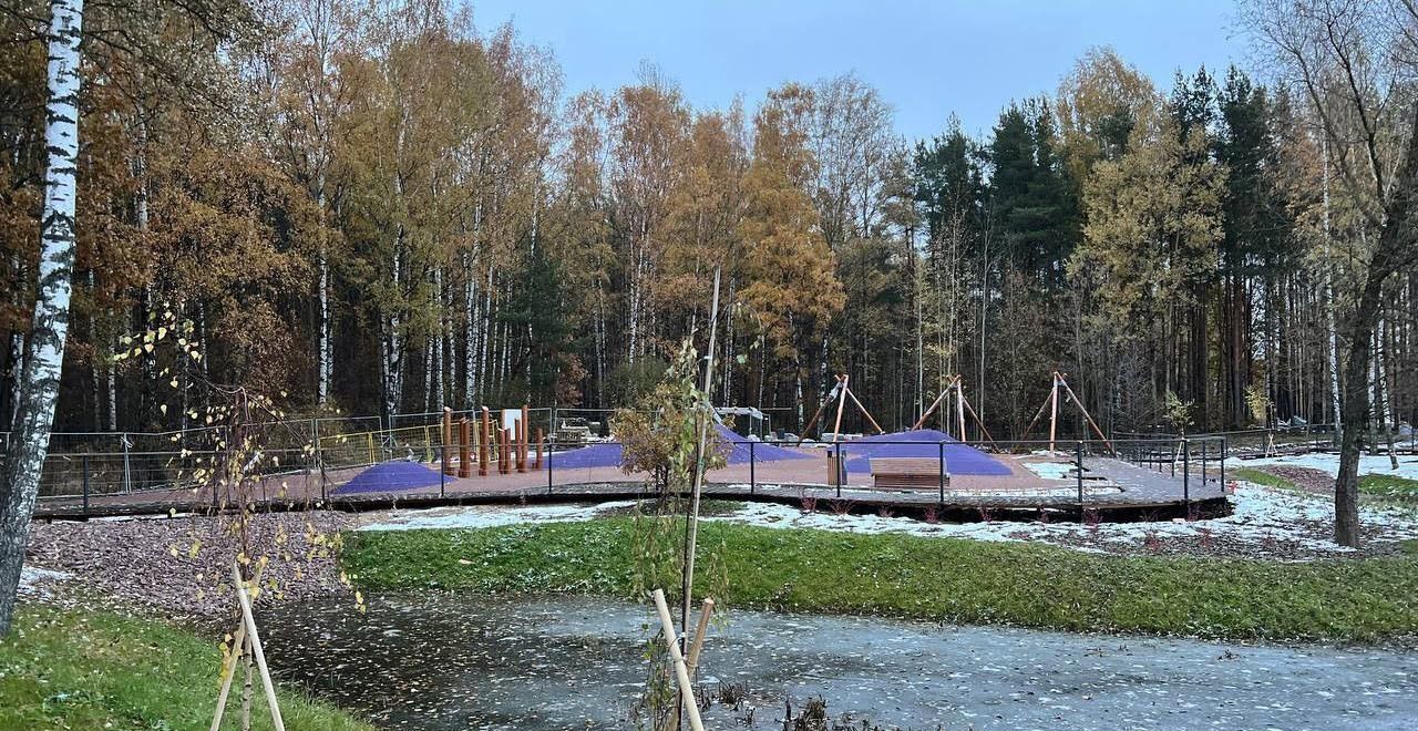 квартира г Санкт-Петербург метро Ладожская ул Коммуны 40 округ Ржевка фото 32