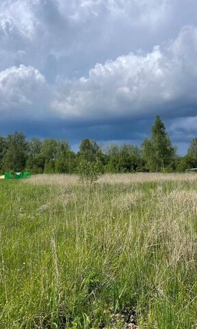 земля 87 км, дачное некоммерческое партнёрство Посёлок Озёрный, Озёры, Каширское шоссе фото