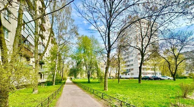 метро Проспект Ветеранов ул Солдата Корзуна 7 фото
