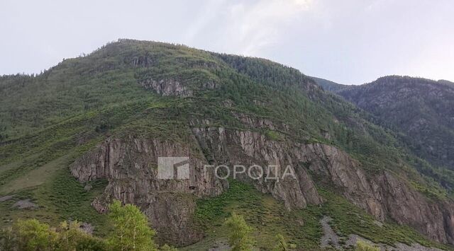 р-н Улаганский с Кок-Паш ул Башкуш фото