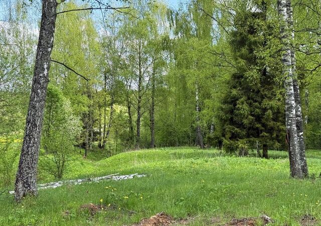 30 км, территория объединения Дмитровка Светлая, Менделеево, Рогачёвское шоссе фото