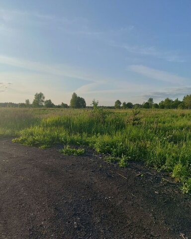 р-н Городецкий д Мошкино (Ковригинский с/с) ул Центральная Городец фото