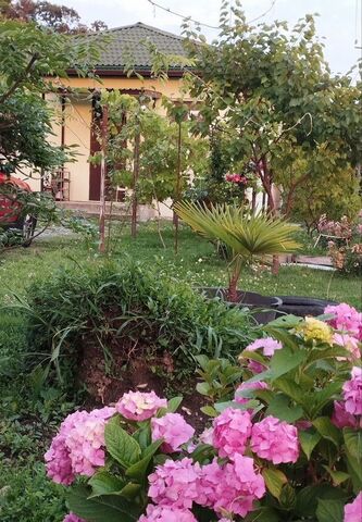 р-н Адлерский ул Светогорская 72/46г фото