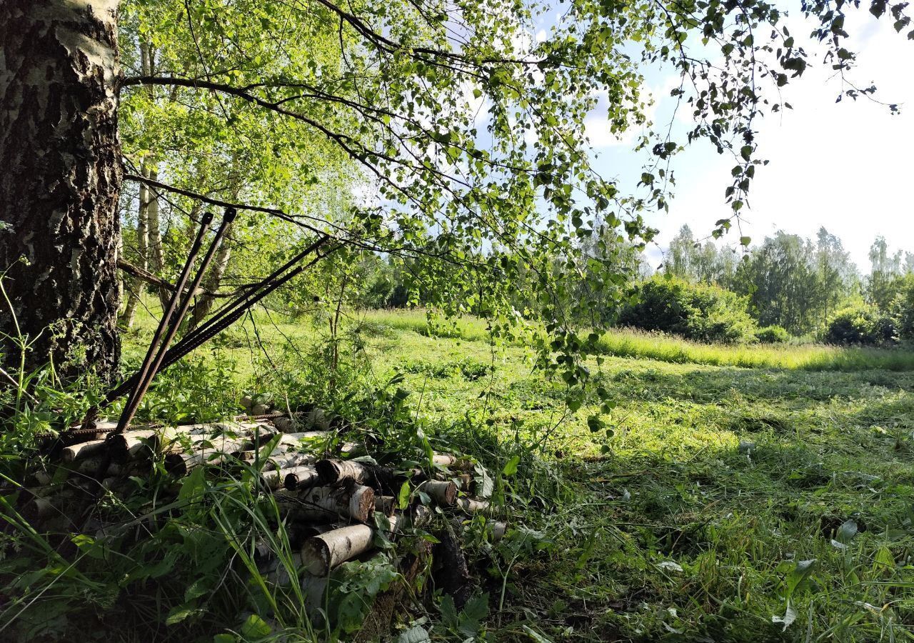 земля г Владимир с Кусуново р-н Октябрьский фото 5