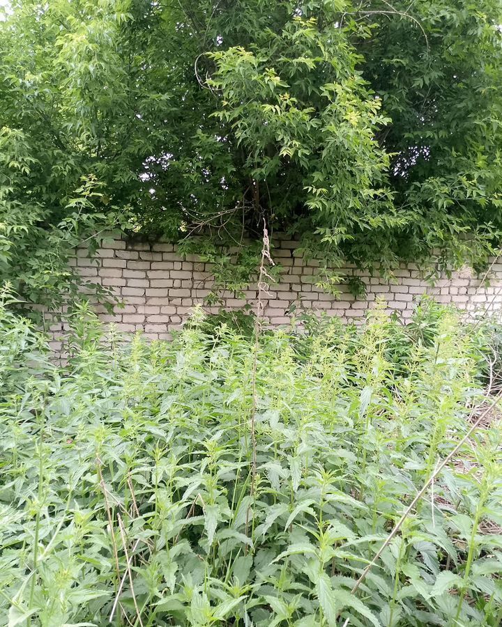 гараж р-н Павловский г Павлово ул Красноармейская фото 2