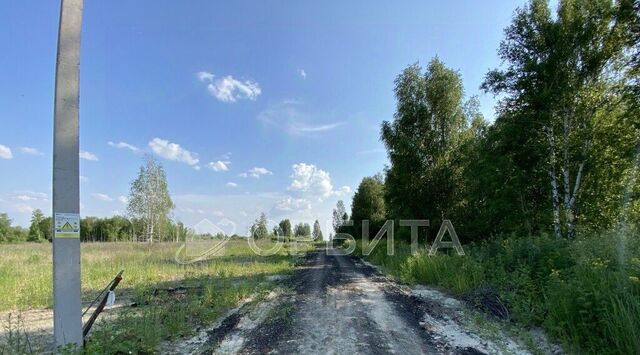 земля снт Приозерное Тюневское с/пос, ДНТ, ул. Солнечная, Нижнетавдинский район фото