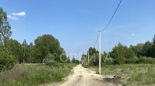 земля снт Приозерное Тюневское с/пос, ДНТ, ул. Солнечная, Нижнетавдинский район фото