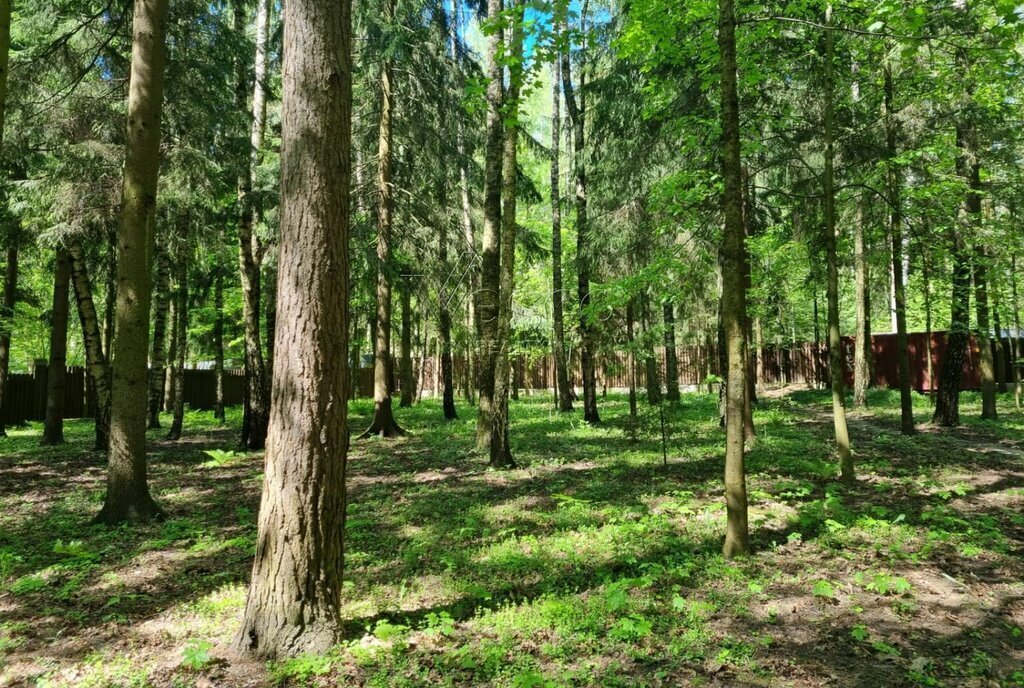 земля г Истра КП Лесные зори, Нахабино фото 1