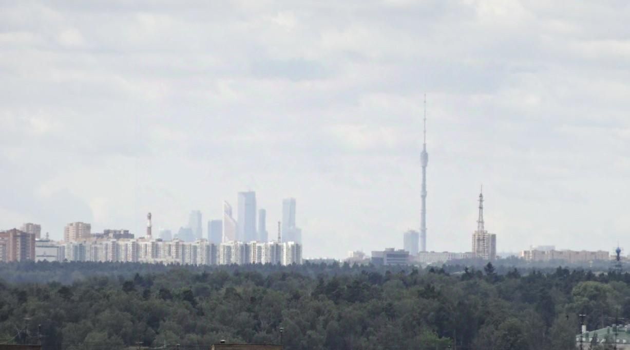 квартира г Пушкино ул Тургенева 13 Пушкинский городской округ фото 8