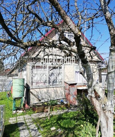 снт Дзержинец Мгинское городское поселение, 7-я дорога фото