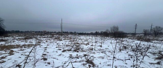 Истра муниципальный округ, д. Рубцово фото