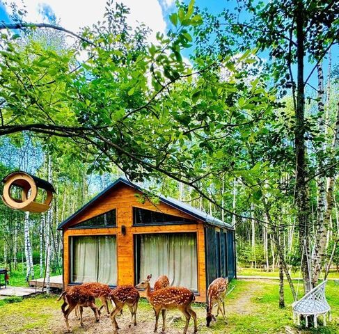 Тихая Горка садовое товарищество, 1 фото