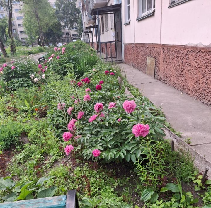 квартира г Бийск ул Вали Максимовой 11 фото 2